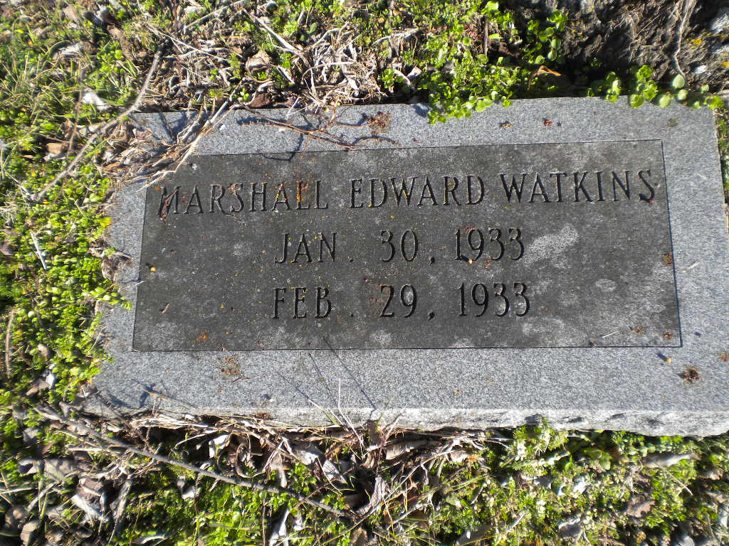 Fitzhugh Cemetery, Collin County Cemeteries of Texas
